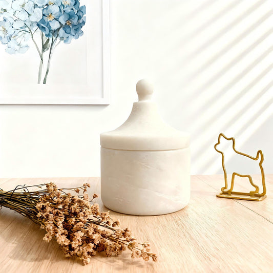 Luxury white marble cremation urn for cat and dog at home